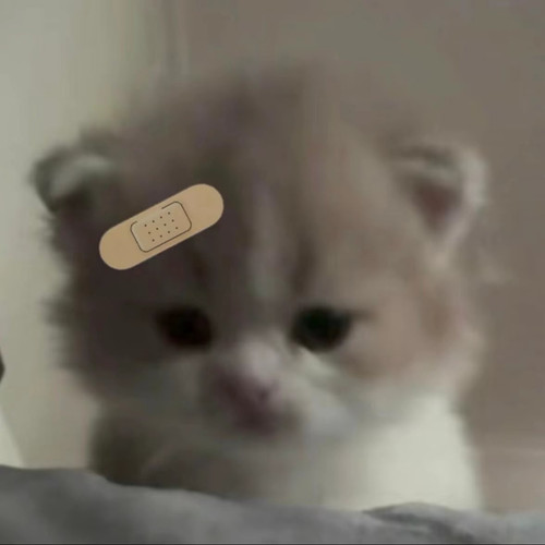 image download 1768324467310.jpg