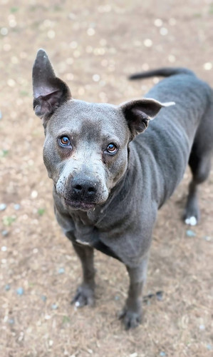 G s o26XIAAN8Br?format=jpg.jpg