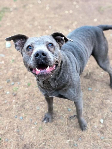 G s o27XoAAph h?format=jpg.jpg