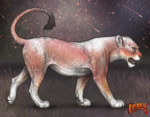 lioden wardrobe 2026 01 16T094835.243.png