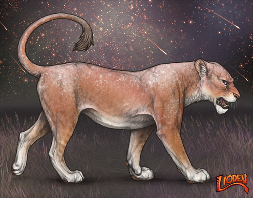 lioden wardrobe 2026 01 16T094813.851.png