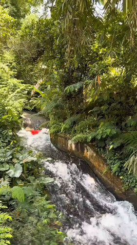 8gtn5Cp AWix8uJn.jpg