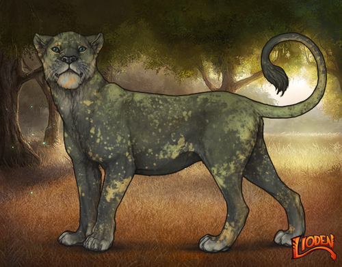 lioden wardrobe 2026 01 16T095523.548.png