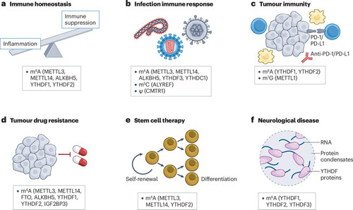 G uBzZ9bQAEwP9Y?format=jpg.jpg