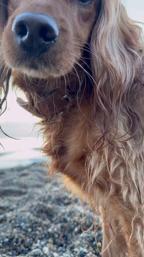 ib5EL25phWOpS Ys.jpg