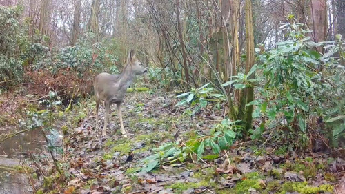 H71eU llllDmjWXP.jpg