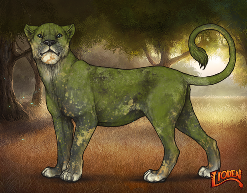 lioden wardrobe 2026 01 16T095546.755.png