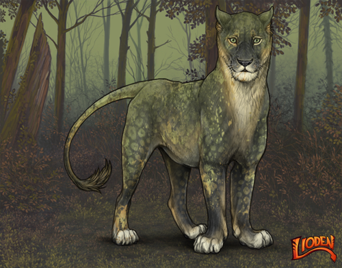 lioden wardrobe 2026 01 16T095135.970.png