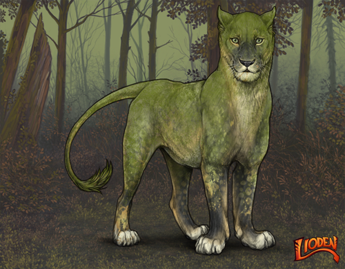 lioden wardrobe 2026 01 16T095200.362.png