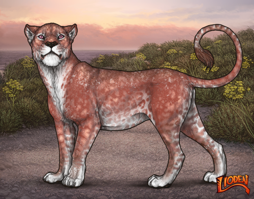 lioden wardrobe 2026 01 16T094158.663.png