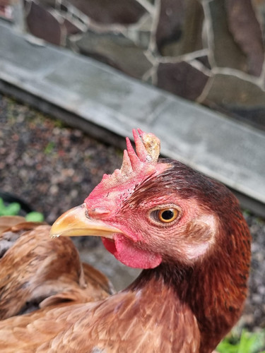 WhatsApp Image 2026 01 12 at 12.31.33(1).jpg