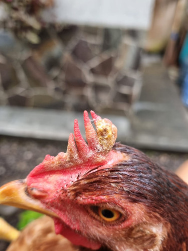 WhatsApp Image 2026 01 12 at 12.31.33.jpg