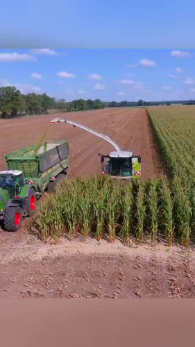 YkQ4Xuu0dERRoJ X.jpg