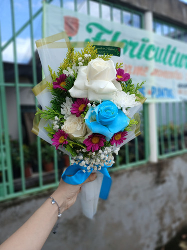 WhatsApp Image 2025 12 25 at 19.36.26.jpg