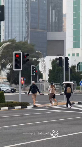 glZVih z1HODc6iO.jpg