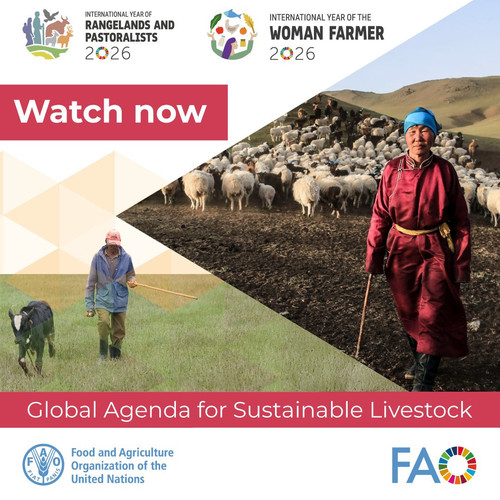 G s5gNFWgAAb7A3?format=jpg.jpg