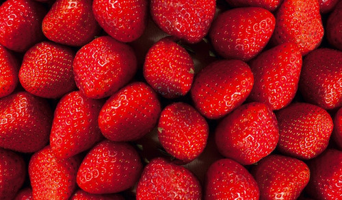 07506658211100 4.jpg