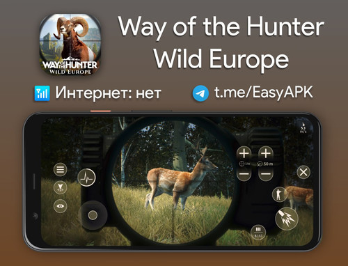 6000353180245494754 y 4.jpg