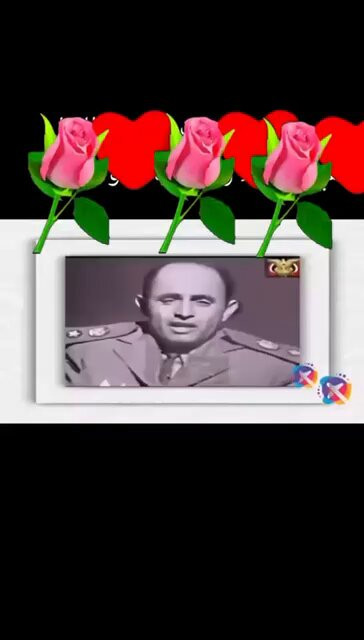 UGsVdI iTYlE Ox9.jpg