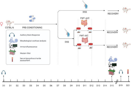 G j1QhOWEAEn uG?format=jpg.jpg