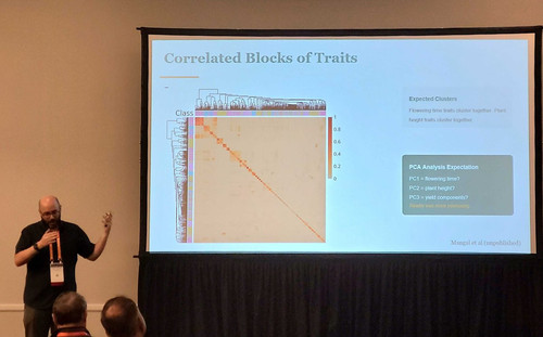 G lFs1pbIAAXEO ?format=jpg.jpg