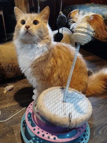 G oRQxgXwAAJYAL?format=jpg.jpg