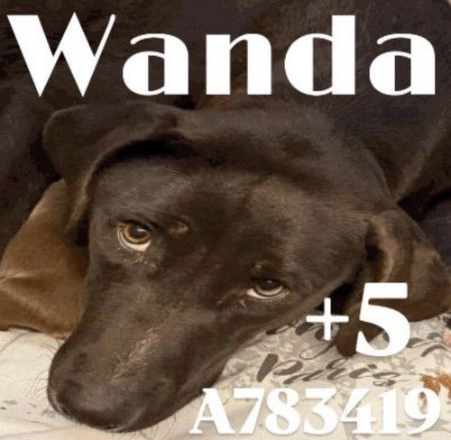 G lIDphWYAApb14?format=jpg.jpg