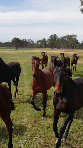 ES0h lwhKCRUi5r8.jpg