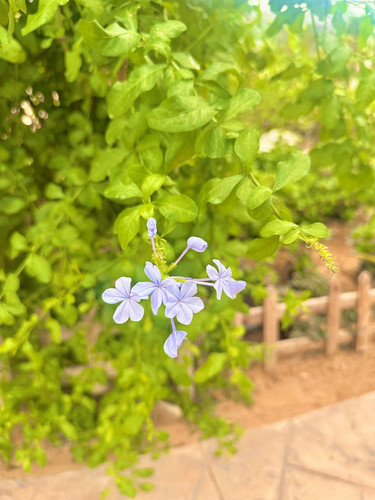 G oAOyXa8AAir1Y?format=jpg.jpg