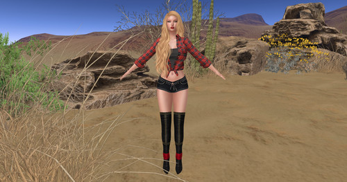 Gail CowgirlMeva 001.jpg