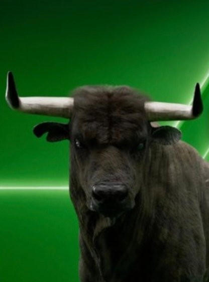 G oYAd4aQAAeLJ ?format=jpg.jpg