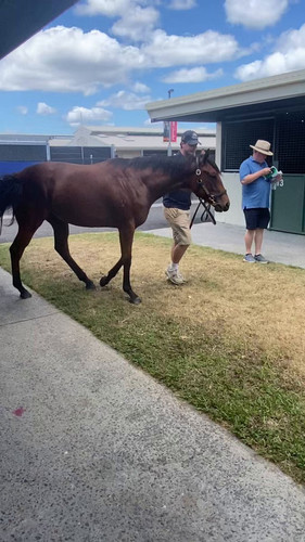 AJjWYwbU oOf7Bfs.jpg