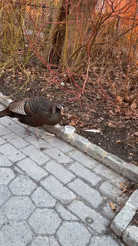 Vl Ujl Eoqs1lpBg.jpg