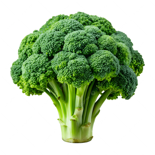 pngtree fresh green broccoli png image 20934934.png
