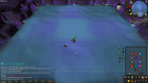 RuneLite PgpNhFpciw.png