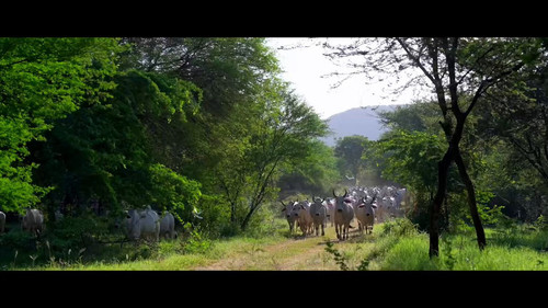 PubbE s7Yu ZQ Dn.jpg