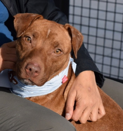 G aOpq5XYAACD2M?format=jpg.jpg