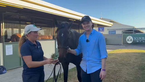 sV adxWf5eH2ctqQ.jpg