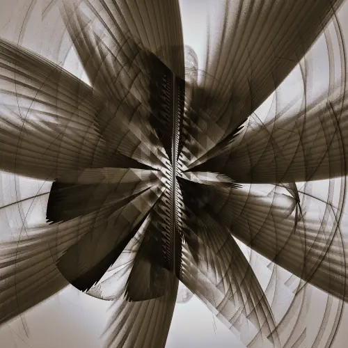 Occupant A Or Occupant B.webp