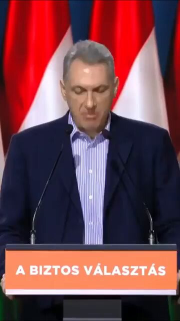 rT kN2LWrmMDaOZJ.jpg