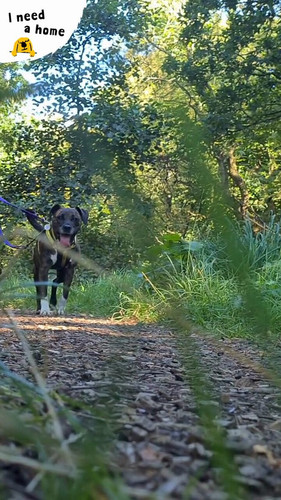 ng vXvGdJwmJlUTp.jpg