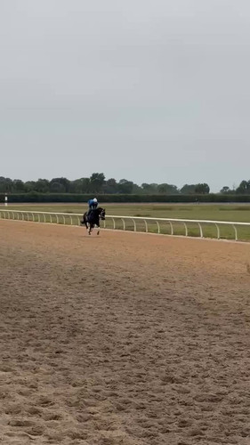 hv6sGdiK 7dGKx53.jpg