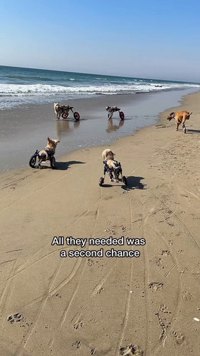 5ftZq38Jnf XHI Y.jpg