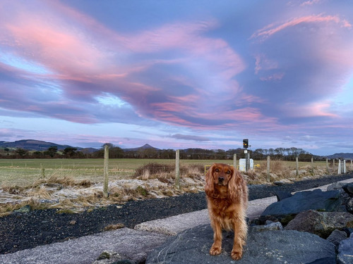 G o9XZyWIAAk4Mn?format=jpg.jpg