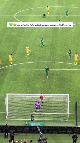 imL5xtfWgaK nTXe.jpg