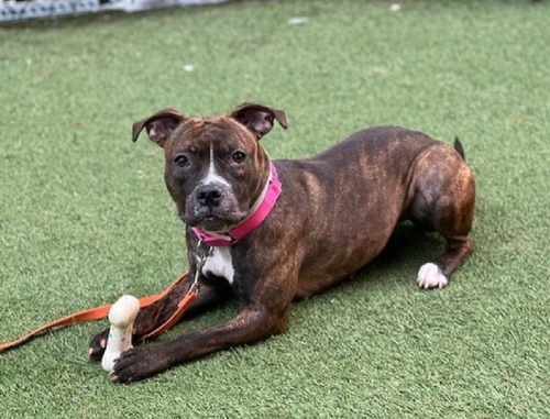 G bdaWkaYAAYCV6?format=png.png