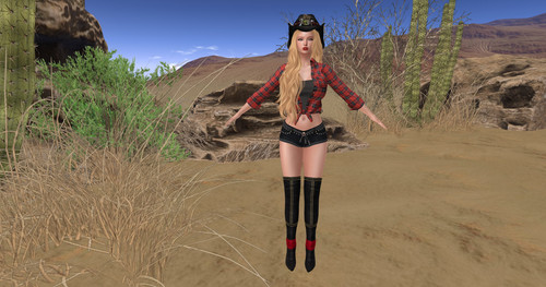 Gail CowgirlMeva 002.jpg