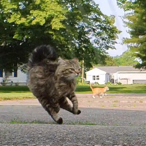 616230046 122157976802859660 1832030639017707477 n.jpg