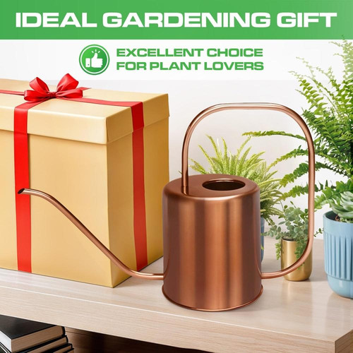 71njM1VfshL. AC SL1500 (1).jpg