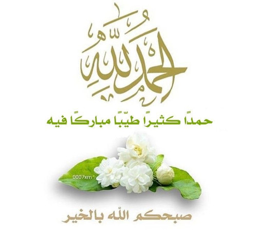 G vIb nakAAWBZ2?format=jpg.jpg